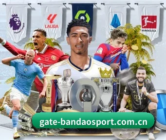 半岛体育 APP | Bandao