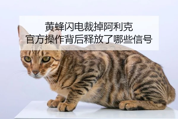 黄蜂闪电裁掉阿利克 官方操作背后释放了哪些信号
